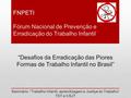 FNPETI Fórum Nacional de Prevenção e Erradicação do Trabalho Infantil “Desafios da Erradicação das Piores Formas de Trabalho Infantil no Brasil” Seminário: