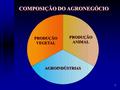 1 PRODUÇÃO ANIMAL PRODUÇÃO ANIMAL PRODUÇÃO VEGETAL PRODUÇÃO VEGETAL AGROINDÚSTRIAS COMPOSIÇÃO DO AGRONEGÓCIO.
