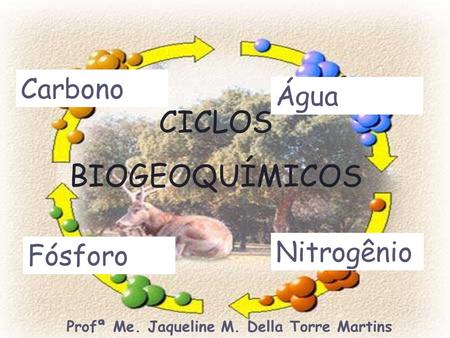Água Nitrogênio Fósforo Carbono CICLOS BIOGEOQUÍMICOS Profª Me. Jaqueline M. Della Torre Martins.