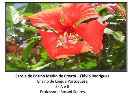 Escola de Ensino Médio de Croatá – Flávio Rodrigues Ensino de Língua Portuguesa 3º A e B Professora: Rosani Soares.