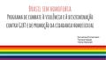 Brasil sem homofobia Programa de combate à violência e à discriminação contra GLBT e de promoção da cidadania homossexual Giovanna Zimmermann Tamara Nassar.