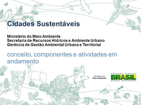Cidades Sustentáveis Ministério do Meio Ambiente Secretaria de Recursos Hídricos e Ambiente Urbano Gerência de Gestão Ambiental Urbana e Territorial conceito,