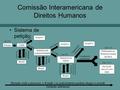Comissão Interamericana de Direitos Humanos