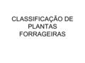 CLASSIFICAÇÃO DE PLANTAS FORRAGEIRAS