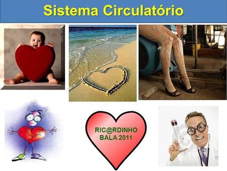 Sistema Circulatório RIC@RDINHO BALA 2011.