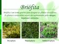Briófita Briófita é um termo genérico para designar as plantas avasculares. As plantas a avasculares atuais são representadas pelos musgos, hepáticas e.