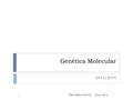 Genética Molecular 2013/2014 23 abr 20141TP04 UBAVII-GM TC.