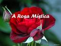 A Rosa Mística. A rosa é a rainha das flores, e seu vivo encarnado, que é a cor do fogo e do sangue, é símbolo do Santo amor. Seu perfume penetrante e.