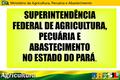 SUPERINTENDÊNCIA FEDERAL DE AGRICULTURA, PECUÁRIA E ABASTECIMENTO NO ESTADO DO PARÁ.
