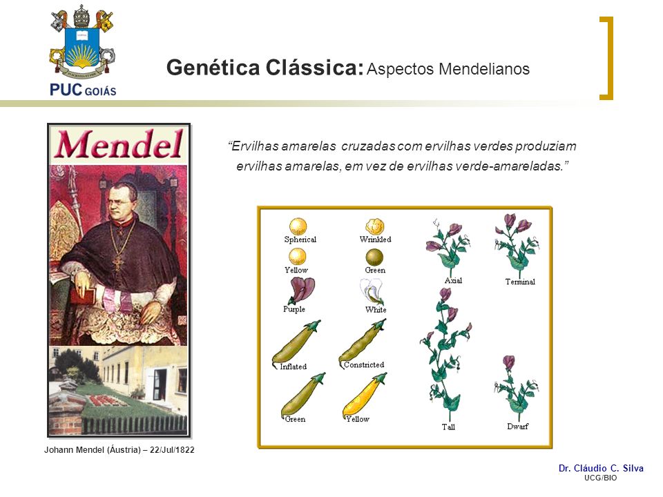 Genetica classica mendel