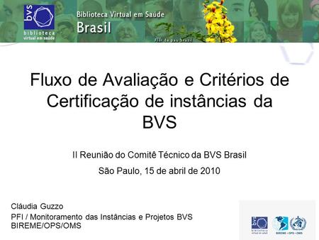 Fluxo de Avaliação e Critérios de Certificação de instâncias da BVS Cláudia Guzzo PFI / Monitoramento das Instâncias e Projetos BVS BIREME/OPS/OMS II Reunião.
