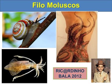 Filo Moluscos RIC@RDINHO BALA 2012.
