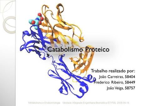 Catabolismo Proteico Trabalho realizado por: João Carreiras, 58404