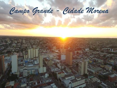 Campo Grande - Cidade Morena. 12ª REUNIÃO DO 01 e 02 de Junho de 2016.