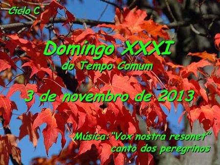 Ciclo C Domingo XXXI do Tempo Comum Domingo XXXI do Tempo Comum 3 de novembro de 2013 Música:“Vox nostra resonet” canto dos peregrinos.