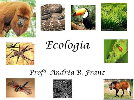 Ecologia Profª. Andréa R. Franz.