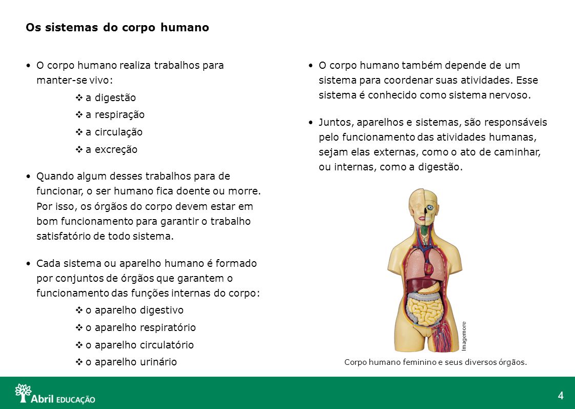 Aparelhos do corpo humano e suas funçoes
