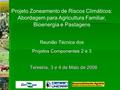 Teresina, 3 e 4 de Maio de 2006 Projeto Zoneamento de Riscos Climáticos: Abordagem para Agricultura Familiar, Bioenergia e Pastagens Reunião Técnica dos.