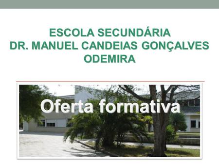 ESCOLA SECUNDÁRIA DR. MANUEL CANDEIAS GONÇALVES ODEMIRA Oferta formativa.