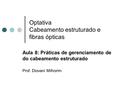 Optativa Cabeamento estruturado e fibras ópticas Aula 8: Práticas de gerenciamento de do cabeamento estruturado Prof. Diovani Milhorim.