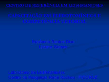 CENTRO DE REFERÊNCIA EM LEISHMANIOSES CAPACITAÇÃO EM FLEBOTOMÍNEOS E COMPETÊNCIA VETORIAL Edelberto Santos Dias Lisiane Gomes Laboratório de Leishmanioses.