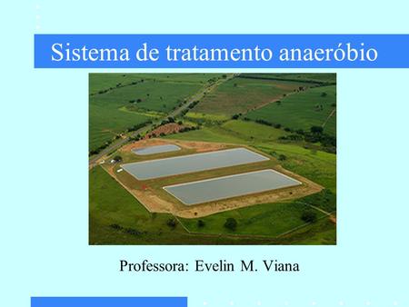 Sistema de tratamento anaeróbio Professora: Evelin M. Viana.