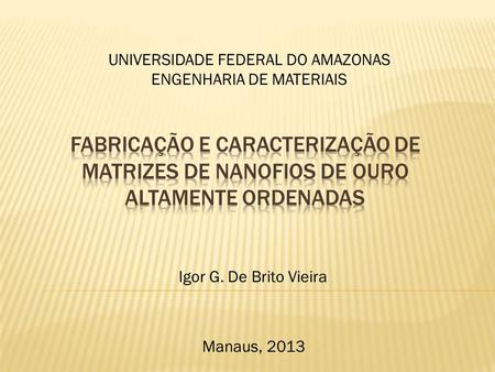 Igor G. De Brito Vieira UNIVERSIDADE FEDERAL DO AMAZONAS ENGENHARIA DE MATERIAIS Manaus, 2013.