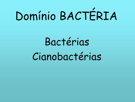Bactérias Cianobactérias