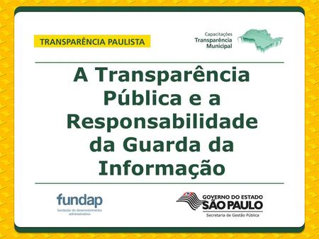 A Transparência Pública e a Responsabilidade da Guarda da Informação.