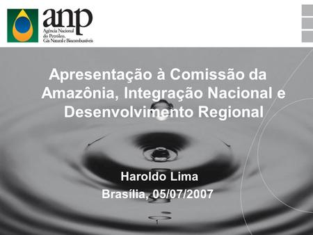 Apresentação à Comissão da Amazônia, Integração Nacional e Desenvolvimento Regional Haroldo Lima Brasília, 05/07/2007.