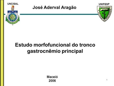Estudo morfofuncional do tronco gastrocnêmio principal