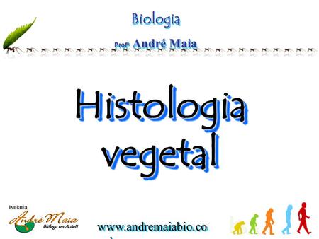 Biologia Profº André Maia Histologia vegetal.