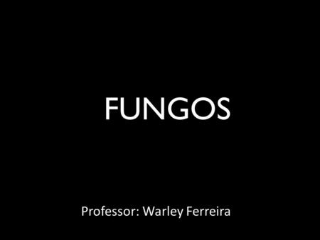 Professor: Warley Ferreira