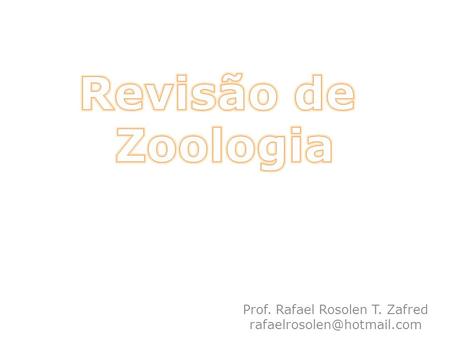 Prof. Rafael Rosolen T. Zafred
