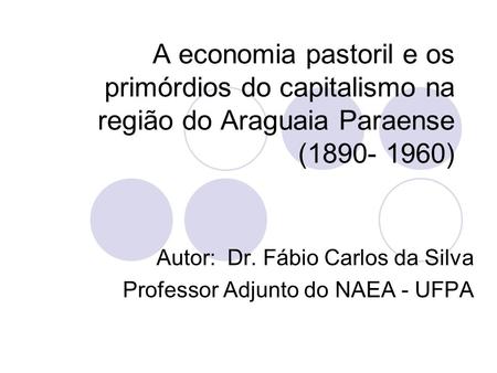 Autor: Dr. Fábio Carlos da Silva Professor Adjunto do NAEA - UFPA