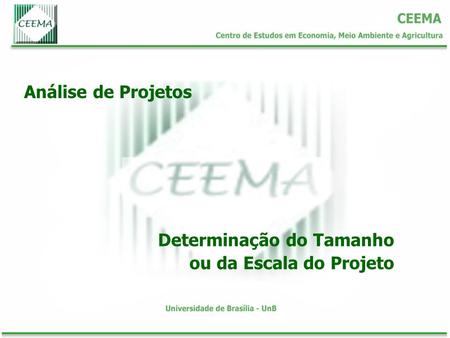 Análise de Projetos Determinação do Tamanho ou da Escala do Projeto.