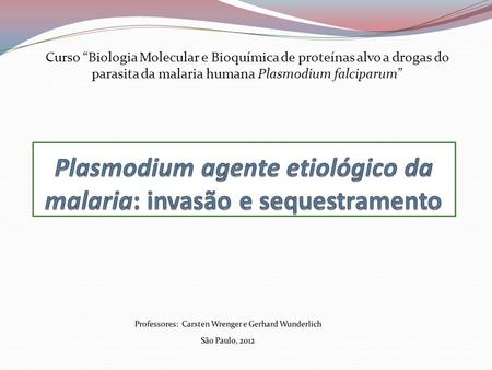 Plasmodium agente etiológico da malaria: invasão e sequestramento