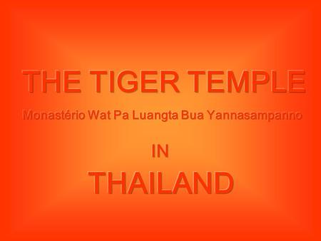Monastério Wat Pa Luangta Bua Yannasampanno