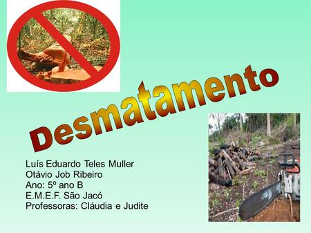 Desmatamento Luís Eduardo Teles Muller Otávio Job Ribeiro