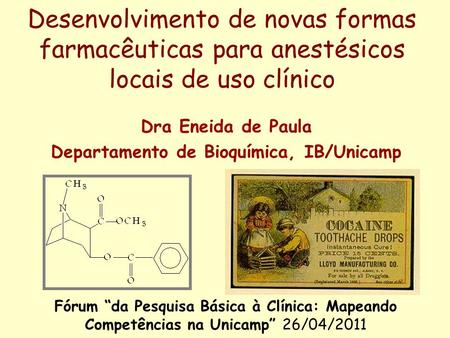 Dra Eneida de Paula Departamento de Bioquímica, IB/Unicamp