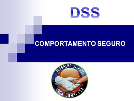 DSS COMPORTAMENTO SEGURO.