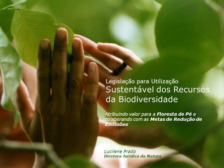 Título Atribuindo valor para a Floresta de Pé e colaborando com as Metas de Redução de Emissões Legislação para Utilização Sustentável dos Recursos da.