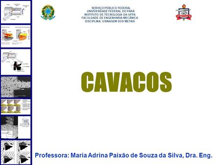 1 CAVACOS Professora: Maria Adrina Paixão de Souza da Silva, Dra. Eng. SERVIÇO PÚBLICO FEDERAL UNIVERSIDADE FEDERAL DO PARÁ INSTITUTO DE TECNOLOGIA DA.