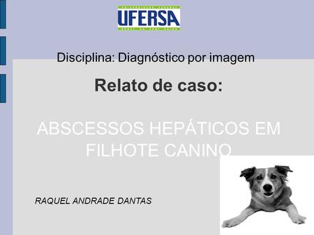 ABSCESSOS HEPÁTICOS EM FILHOTE CANINO