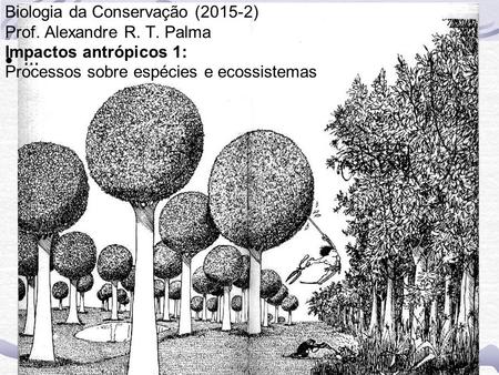 Biologia da Conservação (2015-2) Prof. Alexandre R. T. Palma Impactos antrópicos 1: Processos sobre espécies e ecossistemas ...