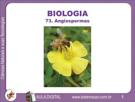 1 Ciências Naturais e suas Tecnologias AULA DIGITAL BIOLOGIA 73. Angiospermas.