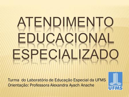 Turma do Laboratório de Educação Especial da UFMS Orientação: Professora Alexandra Ayach Anache.