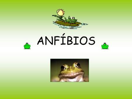 ANFÍBIOS. Anfíbios “CORDADOS” Habitat Precisam viver perto de umidade Filogenia A filogenia dos anfíbios. tetrápodos amniotas rã verde Anuros (sapos,