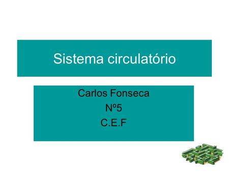 Sistema circulatório Carlos Fonseca Nº5 C.E.F. A circulação fechada Nos homens, assim como nos outros vertebrados, a circulação é do tipo fechada, isto.
