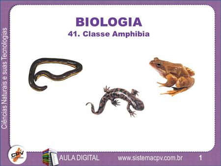 1 Ciências Naturais e suas Tecnologias AULA DIGITAL BIOLOGIA 41. Classe Amphibia.
